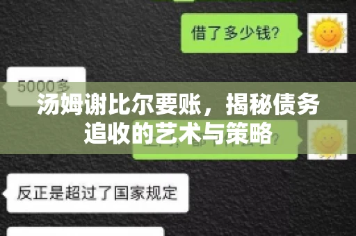 汤姆谢比尔要账，揭秘债务追收的艺术与策略