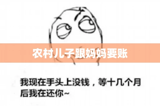 农村儿子跟妈妈要账