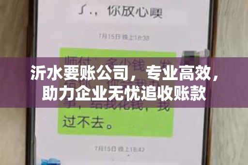 沂水要账公司，专业高效，助力企业无忧追收账款