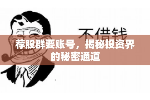 荐股群要账号，揭秘投资界的秘密通道