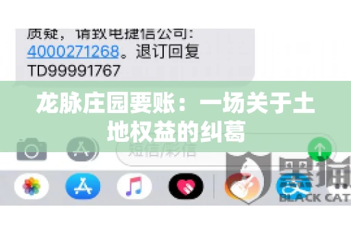 龙脉庄园要账:一场关于土地权益的纠葛 龙脉庄园要账:一场关于土地权益的纠葛