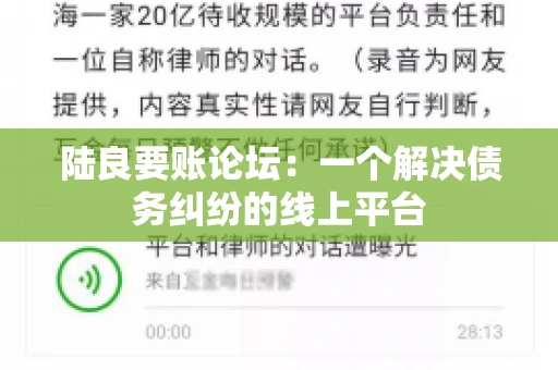 陆良要账论坛：一个解决债务纠纷的线上平台