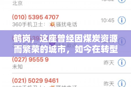 鹤岗，这座曾经因煤炭资源而繁荣的城市，如今在转型中寻求新的发展路径。在这座城市中，有一家名为“鹤岗要账公司”的企业，它以专业的服务，在众多企业中脱颖而出。今天，就让我们一起来了解一下这家公司，看看它是如何在这个充满挑战的市场中立足的。