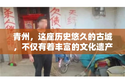 青州，这座历史悠久的古城，不仅有着丰富的文化遗产，还有着繁忙的经济活动。在商业往来中，难免会遇到一些欠款问题，这时候，找一家专业的要账公司就显得尤为重要。那么，青州有帮人要账的吗？答案是肯定的。下面，我就来为大家详细介绍一下青州地区的要账服务。