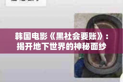 韩国电影《黑社会要账》:揭开地下世界的神秘面纱 韩国电影《黑社会要账》:揭开地下世界的神秘面纱