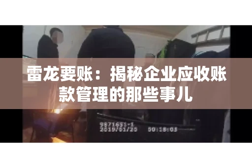 雷龙要账:揭秘企业应收账款管理的那些事儿 雷龙要账:揭秘企业应收账款管理的那些事儿