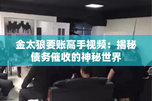 金太狼要账高手视频：揭秘债务催收的神秘世界