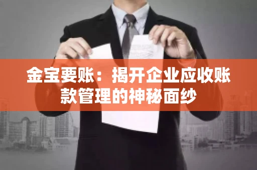 金宝要账：揭开企业应收账款管理的神秘面纱
