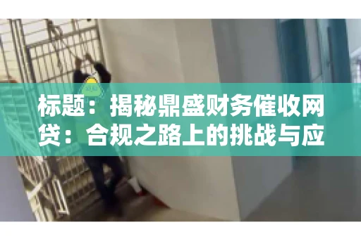 标题：揭秘鼎盛财务催收网贷：合规之路上的挑战与应对