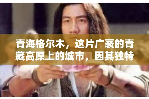 青海格尔木，这片广袤的青藏高原上的城市，因其独特的地理位置和丰富的自然资源而闻名。然而，对于一些借款人来说，这里可能因为逾期还款而接到催收电话。那么，青海格尔木的催收电话是哪家公司的呢？今天，我们就来聊聊这个话题。