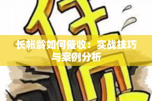 长帐龄如何催收：实战技巧与案例分析